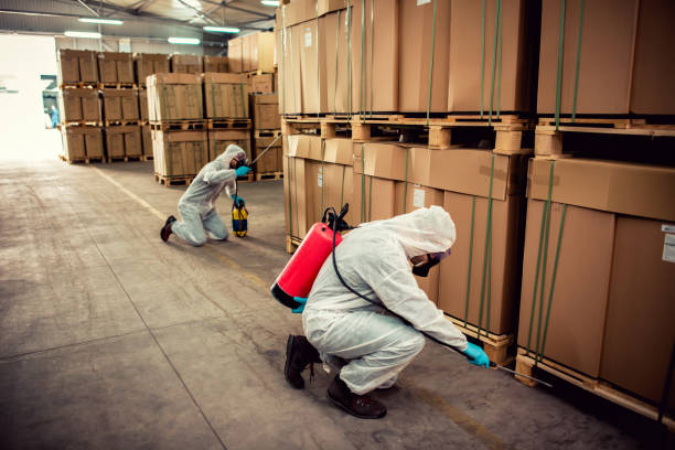 Best Best Pest Control Companies  in Aurora, MO