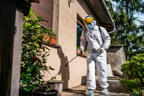 Best Best Pest Control Companies  in Aurora, MO