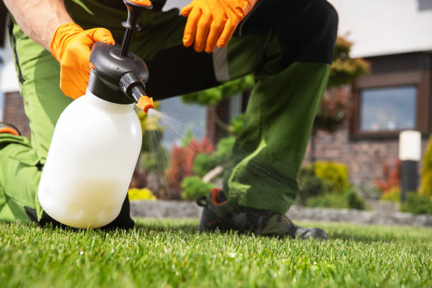 Aurora, MO Pest Control Company