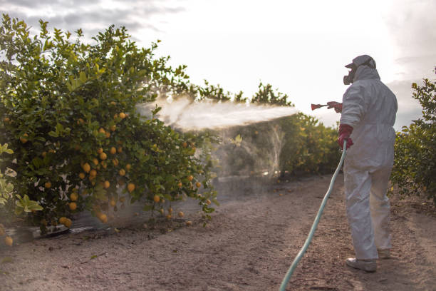 Best Mosquito Control Services  in Aurora, MO