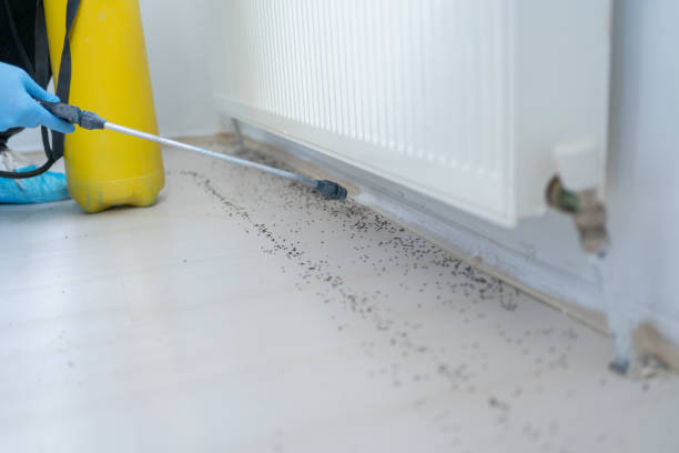 Best Exterminator Services  in Aurora, MO