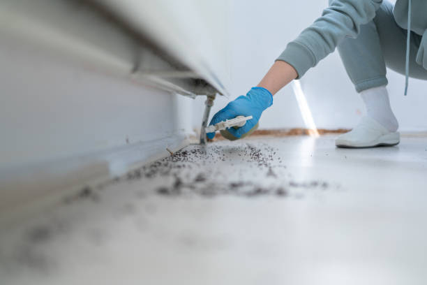 Best Pest Control for Restaurants  in Aurora, MO
