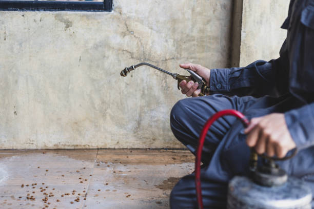 Best Local Pest Control Services  in Aurora, MO
